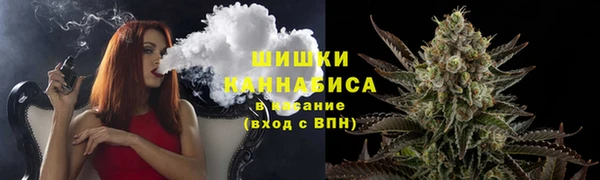 амф Арсеньев