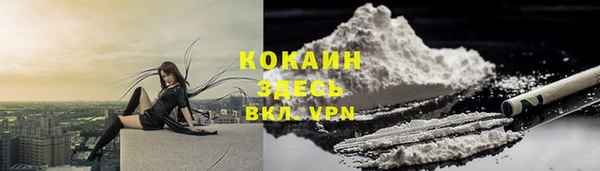 амф Арсеньев