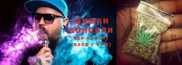 шишки Алексеевка