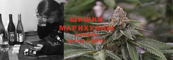 амф Арсеньев