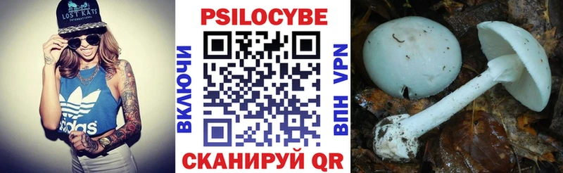 Псилоцибиновые грибы GOLDEN TEACHER  MEGA онион  Лихославль 